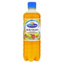 Christinen Multi-Vitamin